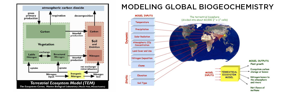 Terrestrial Ecosystem Model TEM Marine Biological Laboratory