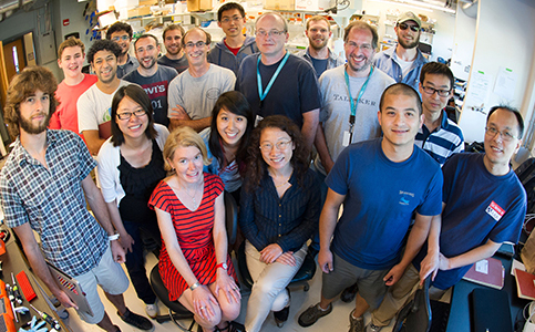 Members of the HHMI/HCIA Summer Institute at MBL