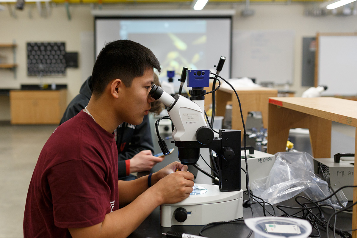 In New MBL Course, HighSchool Students Envision a Future in Science