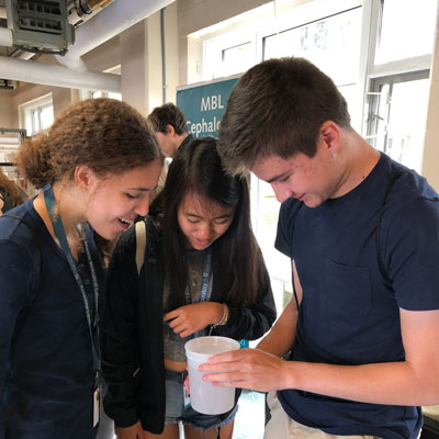 UChicago undergraduates visiting the Marine Resources Center at MBL. From left: Chloe Burns-Krul, Kelly Kang, and Gavin Atack. Credit: Bret Grasse