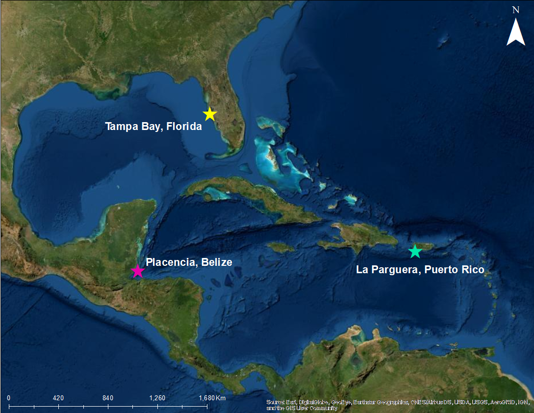 Site map for the project's implementation of large-scale seaweed farms.