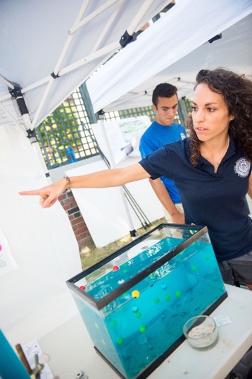 Rut Pedrosa-Pámies, a research scientist with MBL’s Ecosystems Center, explains oceanic flux and how particles cycle through the deep ocean.