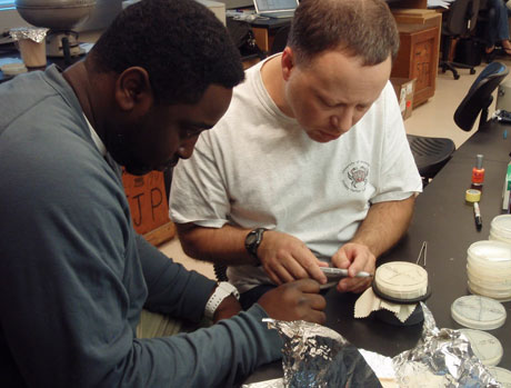 SJP Biomedical Fellow Onche Onde and Brad Shuster, co-director of the Biomedical Course, at work in the lab at MBL. Credit: Melanie DG Kaplan