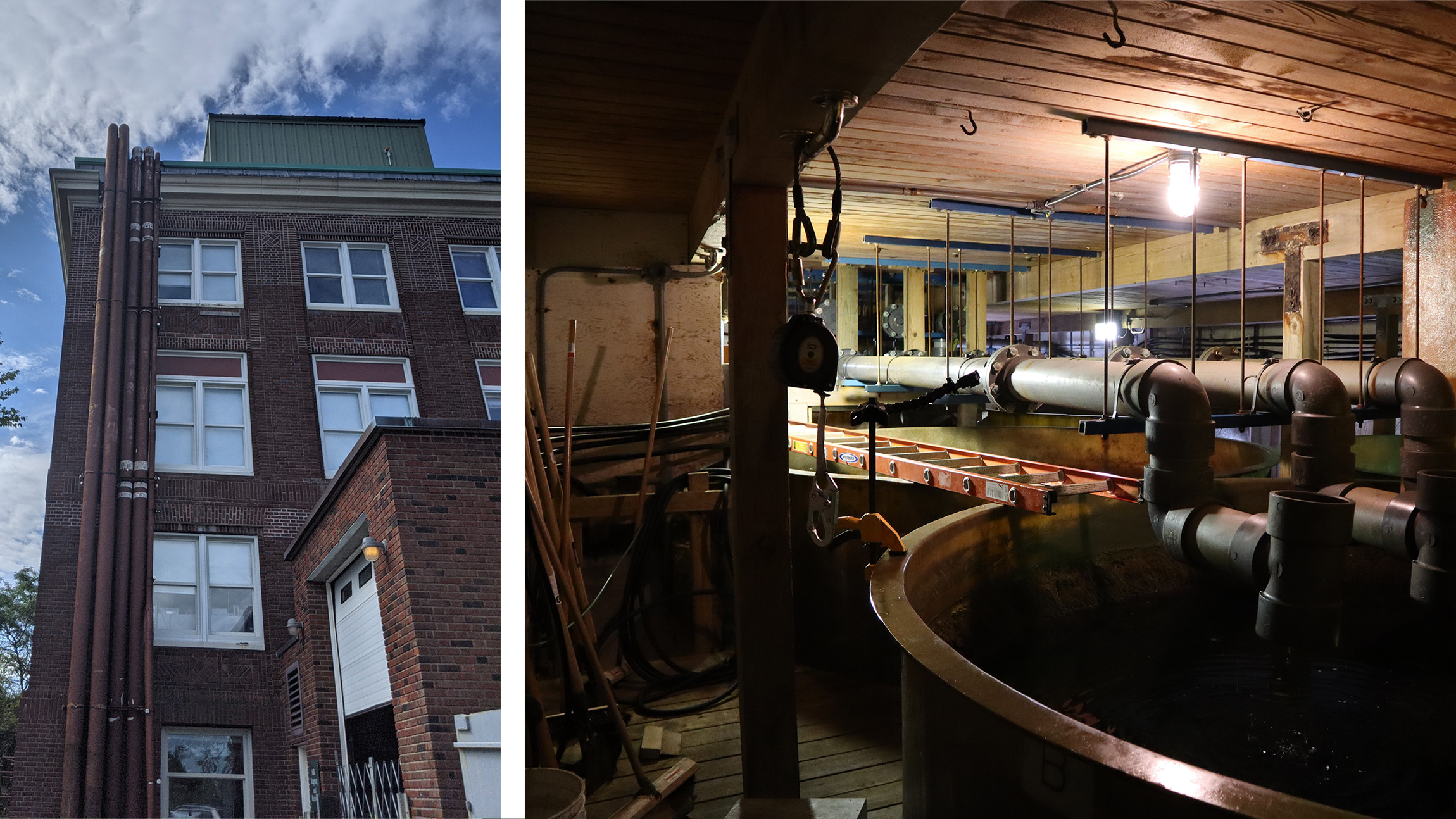 Seawater pipes on the side of the Lillie Building (left). The inside of the tank room on the top of the Lillie roof (right). Photo Credit: Emily Greenhalgh