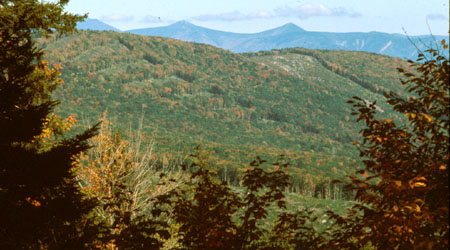 Hubbard Brook Ecosystem Study