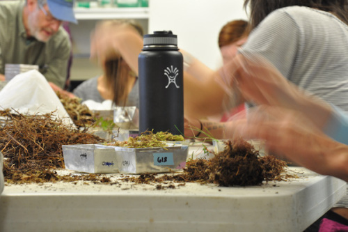 Water bottle on tundra sort table 2015-07-27pluck-116 Credit Meera Subramanian