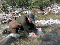 MBL Ecosystems Center senior scientist Bruce Peterson peers through a viewfinder at the bottom of a stream. Credit: Laura Broughton