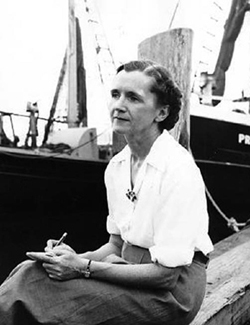 rachelcarsonpicture