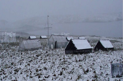 Measuring carbon flux from soil at Toolik Field Station in Arctic Alaska. Credit: Jim Tang