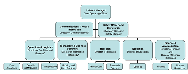 IMT org chart