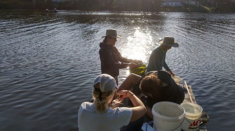 SES Students in a boat taking samples.