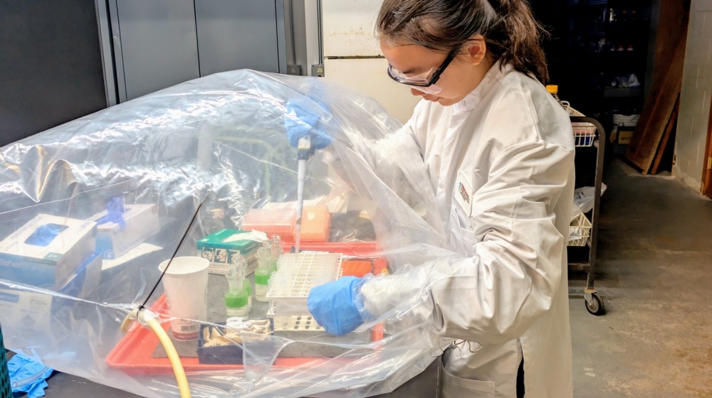 Hoang Luu measures bacterial productivity user radioisotopes under anaerobic conditions. Credit: Joe Vallino