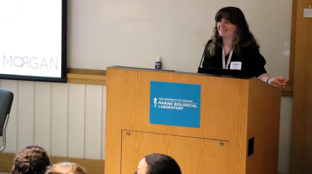 A woman stands behind a lectern in front of people in an auditorium