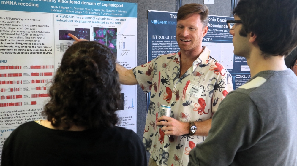 A man gestures to a poster hanging on a bulletin board and faces another man and a woman, who are facing toward the poster..