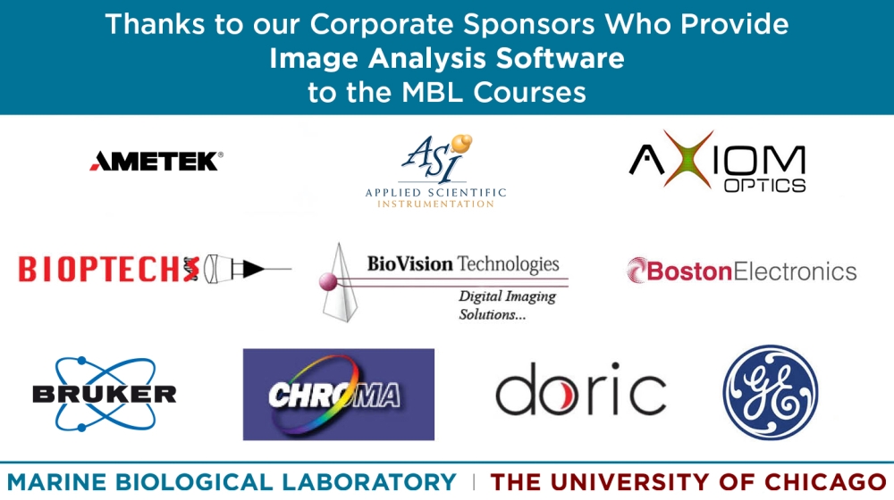 Scientific Vendor Partnerships: Image Analysis Software