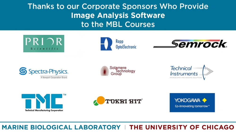 Scientific Vendor Partnerships: Image Analysis Software
