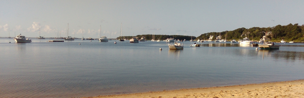 Waquoit Bay Credit Javier Lloret