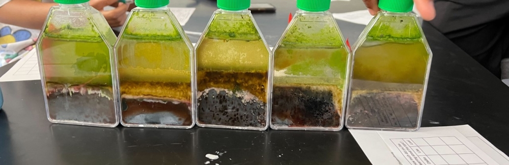 Student-made Winogradsky Columns. Project funded by the MBL Alumni ROCS program.