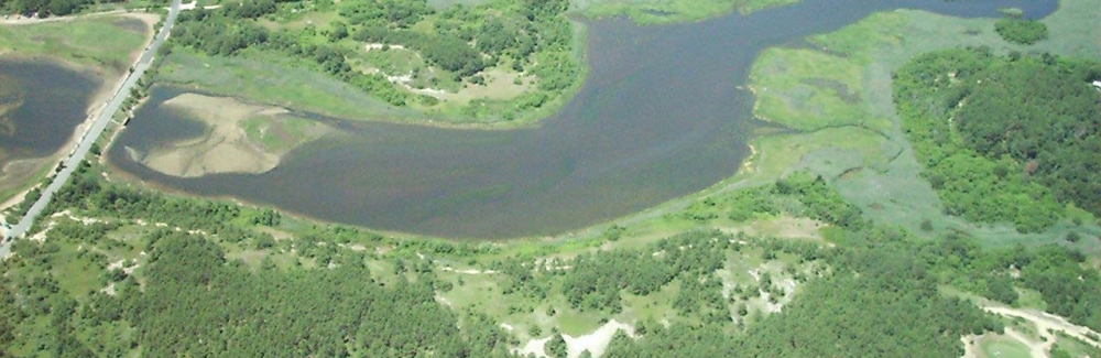 Lower Herring River in Wellfleet Credit Cape Cod National Seashore