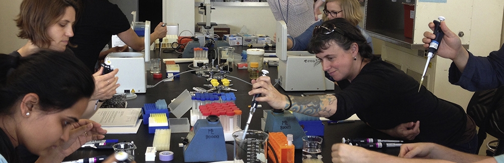 Journalists in the 2016 Marine Biological Laboratory hands-on research course learn to pipette. Photo courtesy of Brad Shuster.