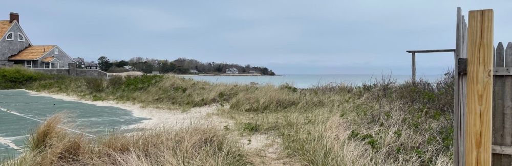 Stoney Beach in Woods Hole Credit Leslie-Ann McGee