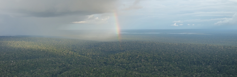 A rainbow over the Amazon Rainforest. Credit Isabella Hrabe de Angelis