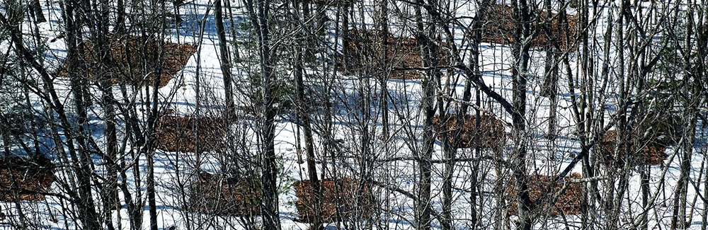 Harvard Forest soil warming experiment. Credit Audrey Barker-Plotkin