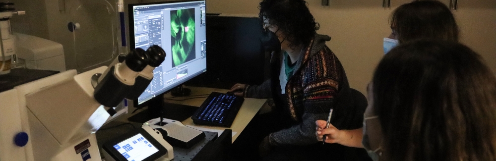 Students in the 2022 Mini-Embryology Course at the MBL examine a sample on a microscope.