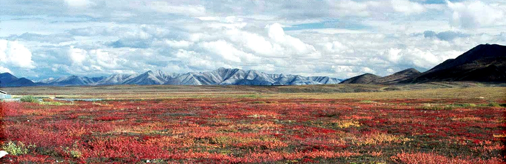 Brooks Range, Alaska, Credit: Jim Laundre