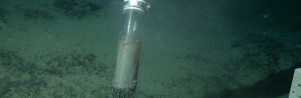 The submersible takes samples in the mud around Håkon Mosby mud volcano.