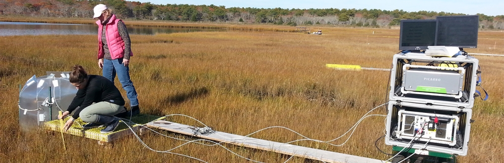 Environmental scientists at Sage Lot Pond