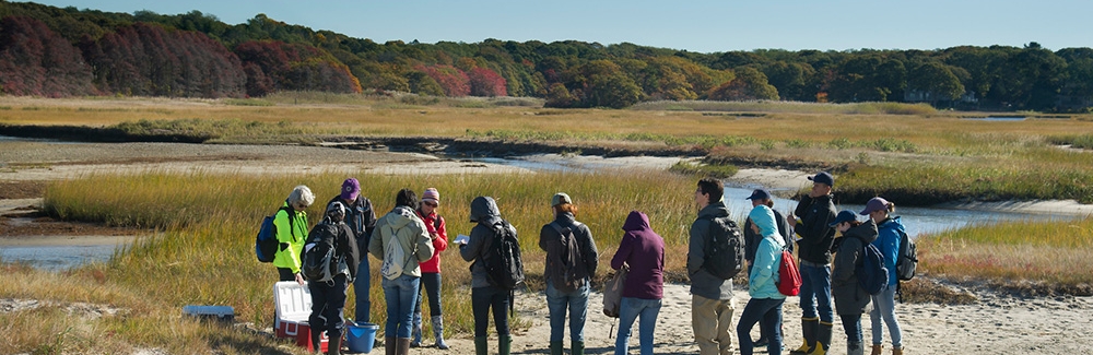 students in marsh