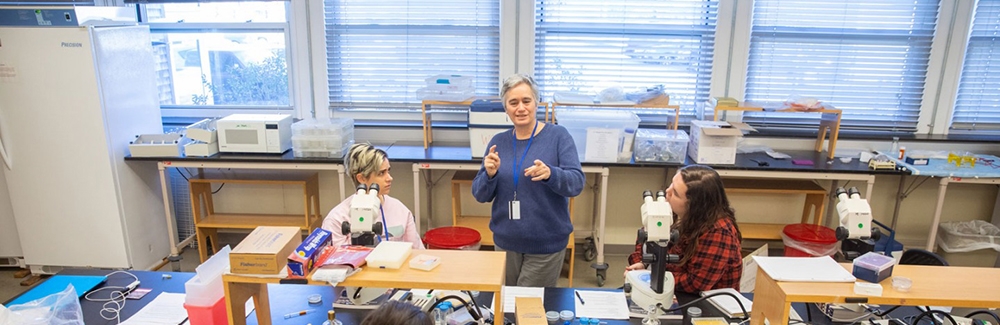 Professor of Neuroscience Anne Hart talks with first-year graduate students during last year’s NeuroPracticum. Photo by Nick Dentamaro/Brown University