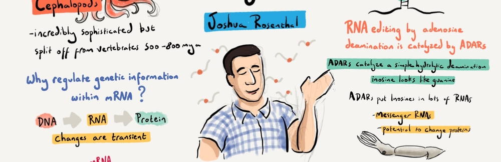 A cartoon illustration of a science talk by Joshua Rosenthal. The talk is titled "Re-writing the Cephalopod Neural Transcriptome by Editing mRNAs"