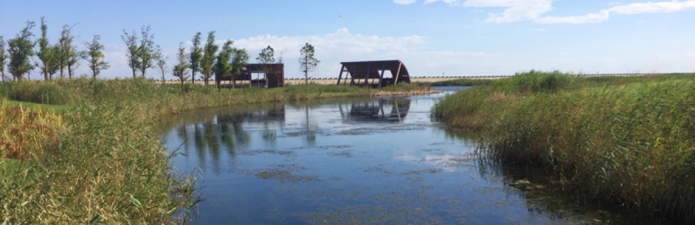 The extensively restored Yingwuzhou wetland (pictured) in Shanghai, China, emits less methane than a nearby wild wetland. Credit: Xuechu Chen