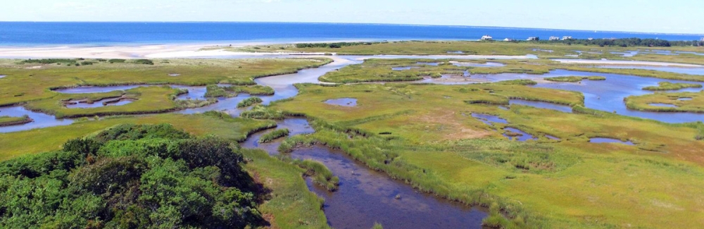 drone shot of salt marsh