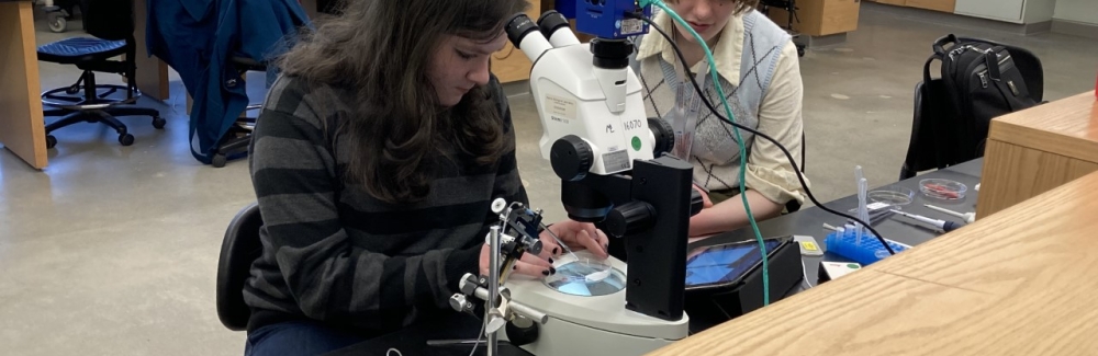 Students at a lab bench. Credit Jean Enright