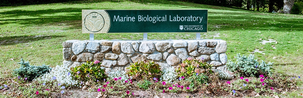 MBL sign on Swope Lawn with flowers in front. Credit: Megan Costello