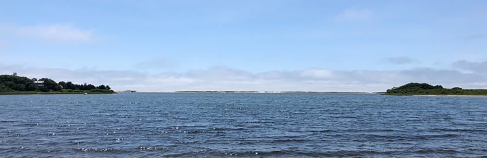 One of the great ponds on Martha's Vineyard. Credit MV Times.