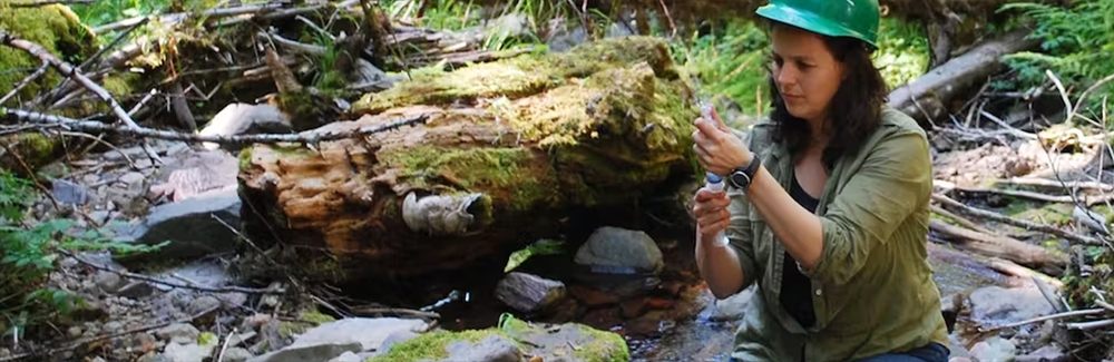 Scientist at US Forest Service research site in the Cascade Mountains.