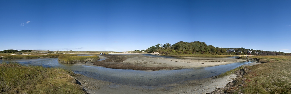 Sippewissett Marsh