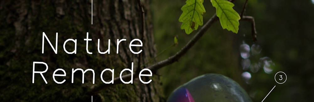 Nature Remade: Engineering Life, Envisioning Worlds book cover