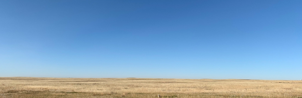 Plains in Alberta, CAnada