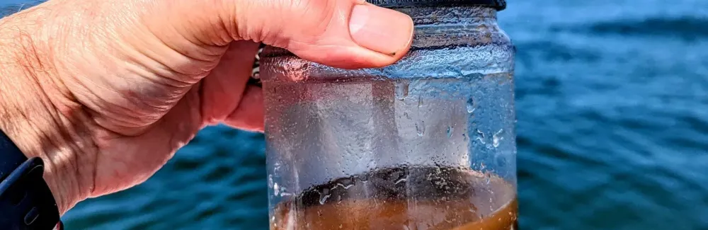 gulf of maine water sample