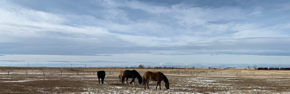 Barons, Alberta, Canada