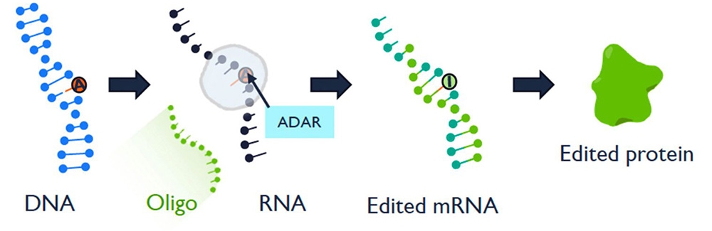 cartoon of RNA editing