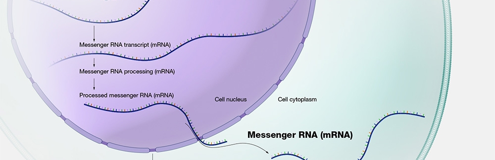 messenger RNA