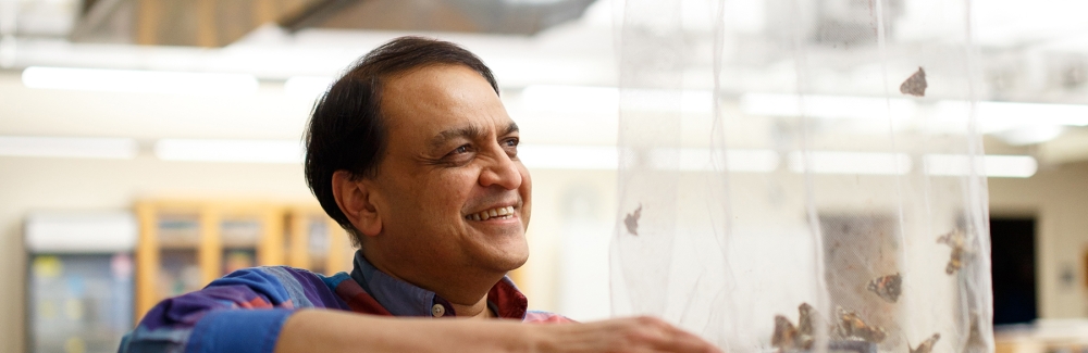 Nipam Patel with Painted Lady butterflies