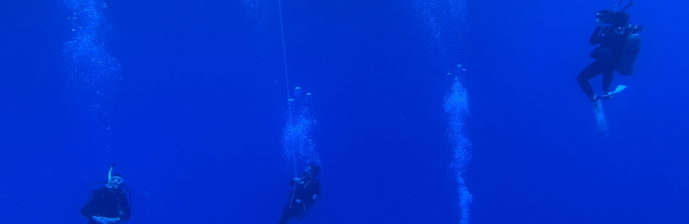 Custom-made underwater cameras allowed divers to see the three-dimensional movement of salp colonies. Credit: Sean Colin