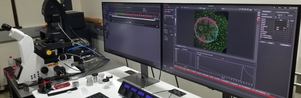 The first images taken by Leica engineers on the new Leica STELLARIS 8 at the MBL. Credit: Louis Kerr